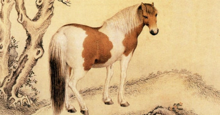 Trên hành trình cuộc sống, họ là biểu tượng của sự kiên cường, không bao giờ từ bỏ. Họ luôn sẵn sàng đương đầu với thách thức, dũng cảm đối diện với những rắc rối và thất bại. Đối với họ, thất bại không hề là vĩnh viễn, bởi họ tin rằng miễn là còn ước mơ, họ sẽ tìm ra con đường phía trước.