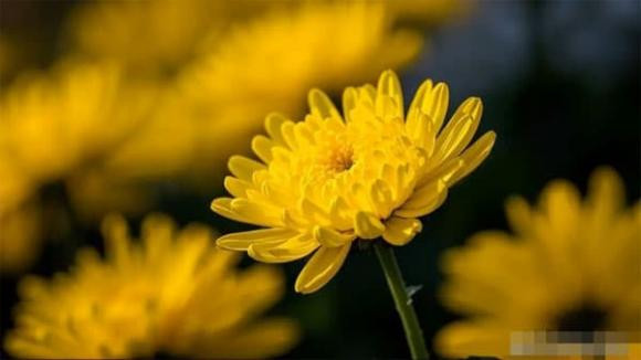 Tet Thanh Minh: 'Phai thay doi ba phong tuc, phai co mat ba nguoi'