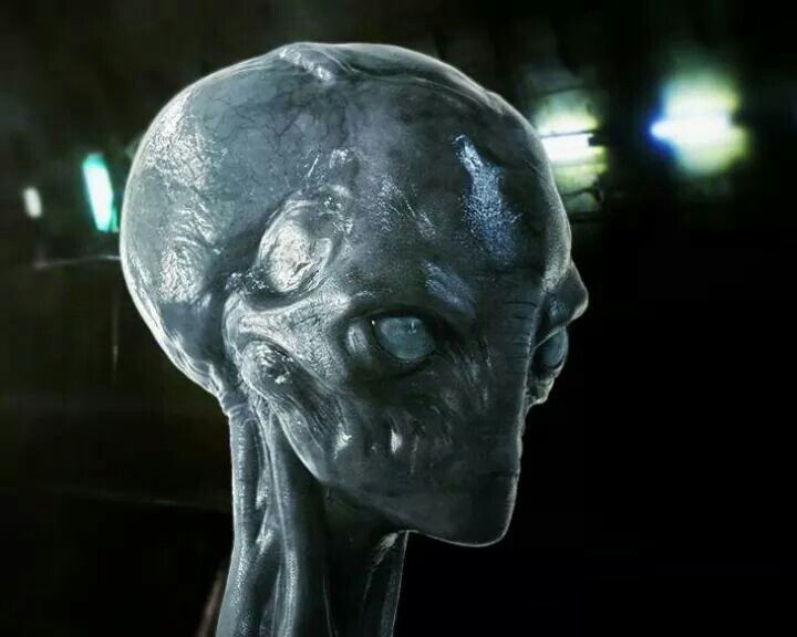  8. Không có bằng chứng khoa học xác thực. Dù có rất nhiều câu chuyện và tuyên bố về sự tồn tại của Người ngoài hành tinh xám, nhưng đến nay, khoa học vẫn chưa tìm thấy bằng chứng cụ thể nào chứng minh sự hiện diện của họ. Ảnh: Pinterest.