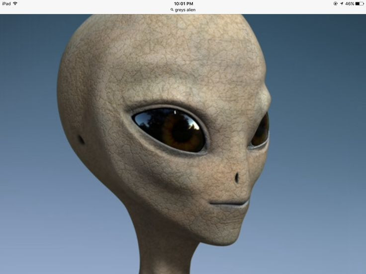  2. Là hình tượng phổ biến nhất về người ngoài hành tinh. Khác với các sinh vật ngoài hành tinh kỳ dị khác, Người ngoài hành tinh xám thường được miêu tả với hình dáng đầu lớn, mắt đen, không có lông và làn da xám trơn láng. Ảnh: Pinterest.