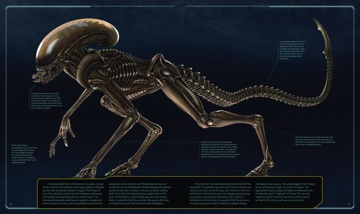  5. Sự sống có thể du hành giữa các hành tinh. Giả thuyết "Panspermia" cho rằng sự sống có thể di chuyển qua vũ trụ trên các thiên thạch hoặc sao chổi, gieo mầm sự sống trên các hành tinh khác, bao gồm cả Trái Đất. Ảnh: Pinterest.