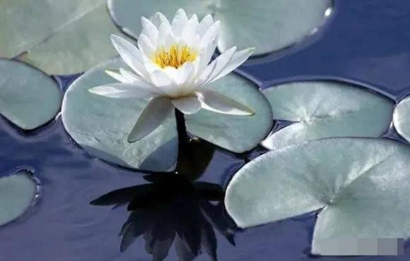 5 dac diem chi thay o nhung nguoi luon gap may, giau phuoc bau