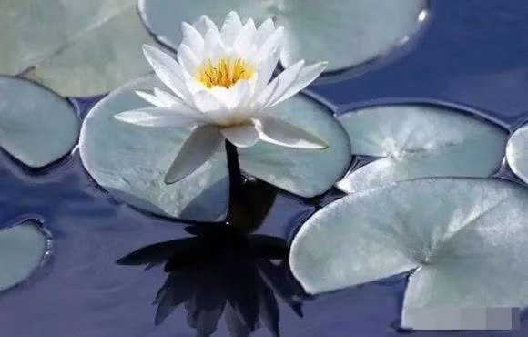 5 dac diem chi thay o nhung nguoi luon gap may, giau phuoc bau