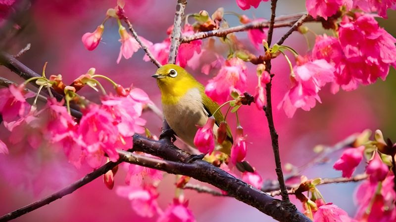 Tiet Kinh trap: 3 dieu nen lam de thu hut may man