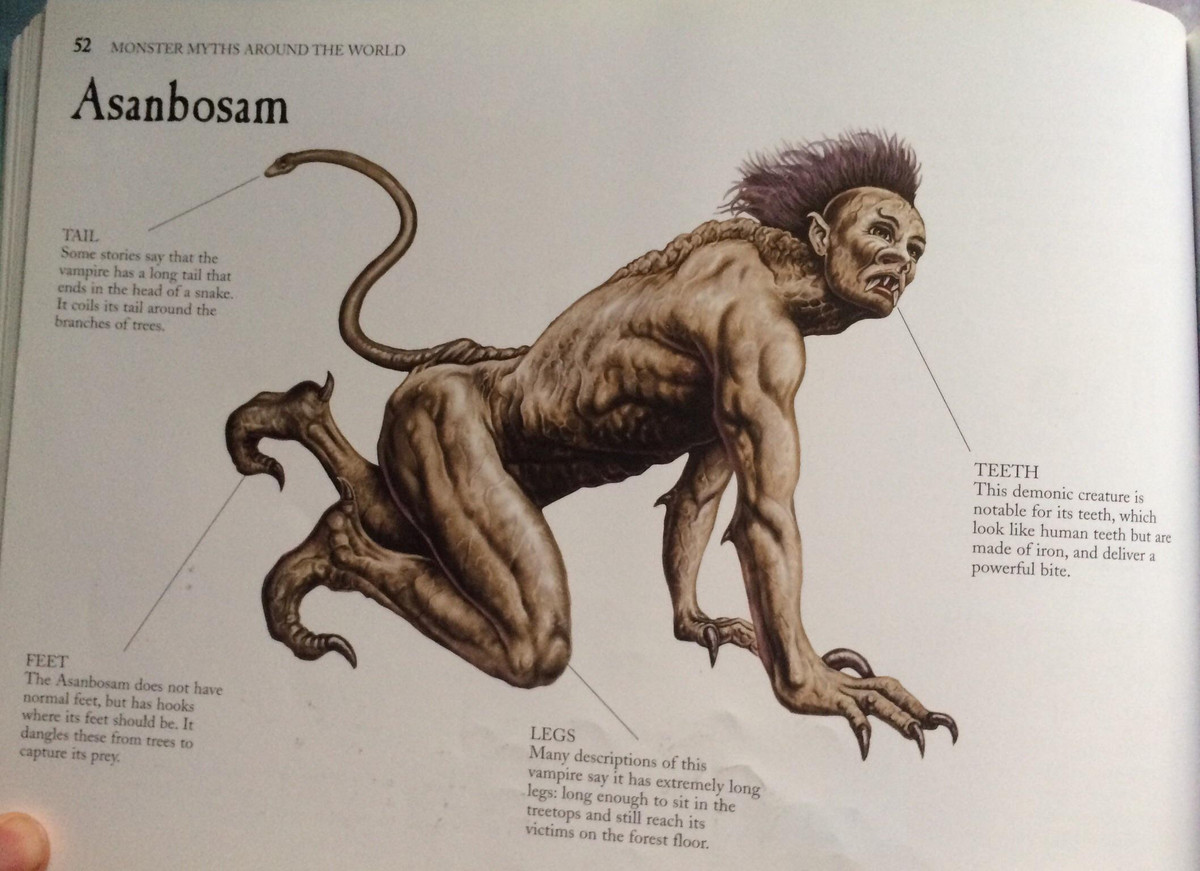  4. Nó chuyên săn lùng con người. Theo truyền thuyết, Asanbosam không chỉ tấn công động vật mà còn săn lùng con người, đặc biệt là những ai đi lạc vào rừng vào ban đêm. Nó sẽ cắn cổ nạn nhân và hút máu. Ảnh: Reddit.