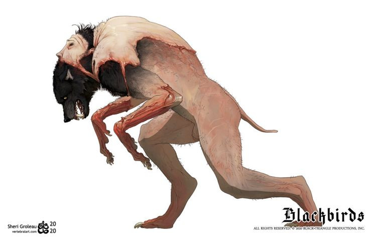  1. Asanbosam là ma cà rồng phiên bản châu Phi. Khác với hình ảnh ma cà rồng phổ biến ở phương Tây, Asanbosam là một sinh vật có hình dáng giống con người nhưng sở hữu những đặc điểm đáng sợ như răng nanh sắc nhọn và chân có móc câu để treo mình trên cây. Ảnh: Pinterest. 