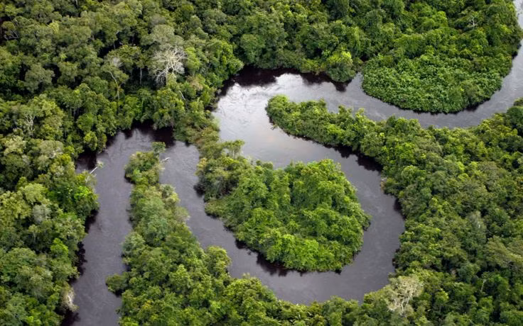  4. Sông Amazon dài thứ hai thế giới. Chảy qua rừng Amazon, sông Amazon có chiều dài khoảng 6.992 km, đứng sau sông Nile, nhưng lại là con sông có lưu lượng nước lớn nhất hành tinh. Ảnh: Pinterest.