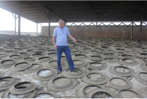 Những đống thức ăn ủ chua to như quả núi.