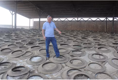 Những đống thức ăn ủ chua to như quả núi.