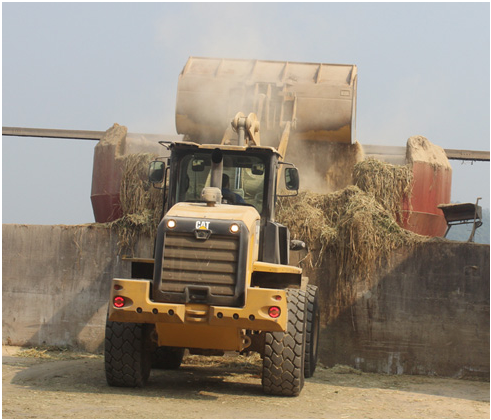 Máy trộn thức ăn tự động.