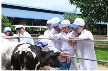 Vợ chồng BTV Hoài Anh cùng con gái khám phá giống bò HF thuần chủng tại trang trại.