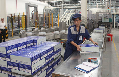 Việc chăm bẵm bò cầu kỳ, đúng tiêu chuẩn kỹ thuật, sẽ cho ra nguồn sữa tốt.