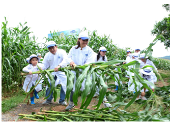 Gia đình BTV Hoài Anh cùng nhau chuẩn bị thức ăn cho các cô bò.