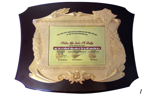 Bằng khen do Bộ y tế trao tặng.