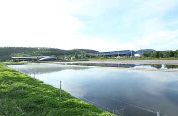 Hồ sinh học tại khu vực xử lý chất thải tại trang trại.