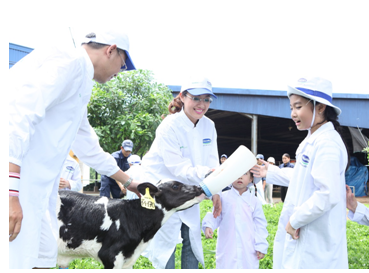 BTV Hoài Anh cùng con gái vui chơi với các chú bê con.