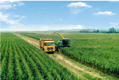 Trang trại TH chả khác gì trang trại ở Mỹ.