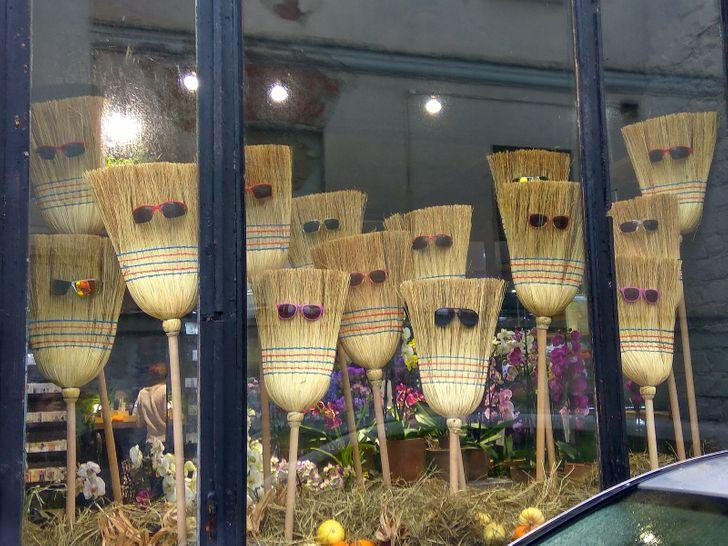 áng ngủ dậy mắt nhắm mắt mở thấy cảnh này cũng hết hồn đấy.