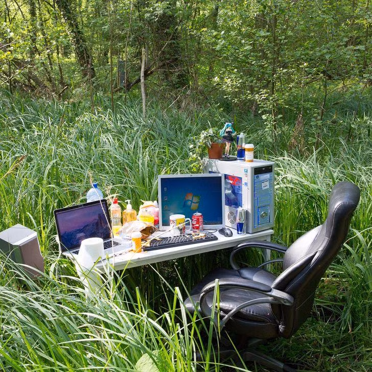 Khi công ty đăng tin tuyển dụng môi trường làm việc xanh, gần gũi với thiên nhiên.