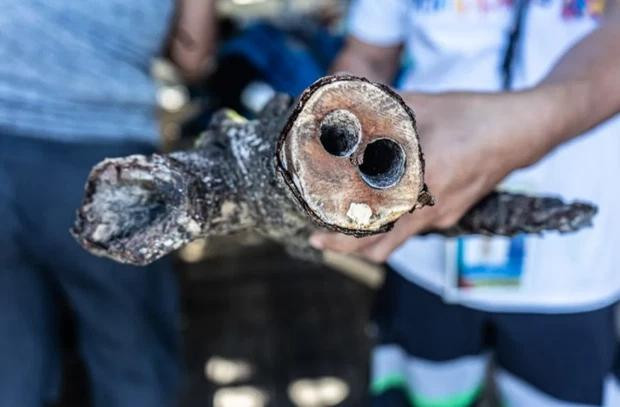 Kinh hai mon an lay tu go muc...ke so, nguoi 