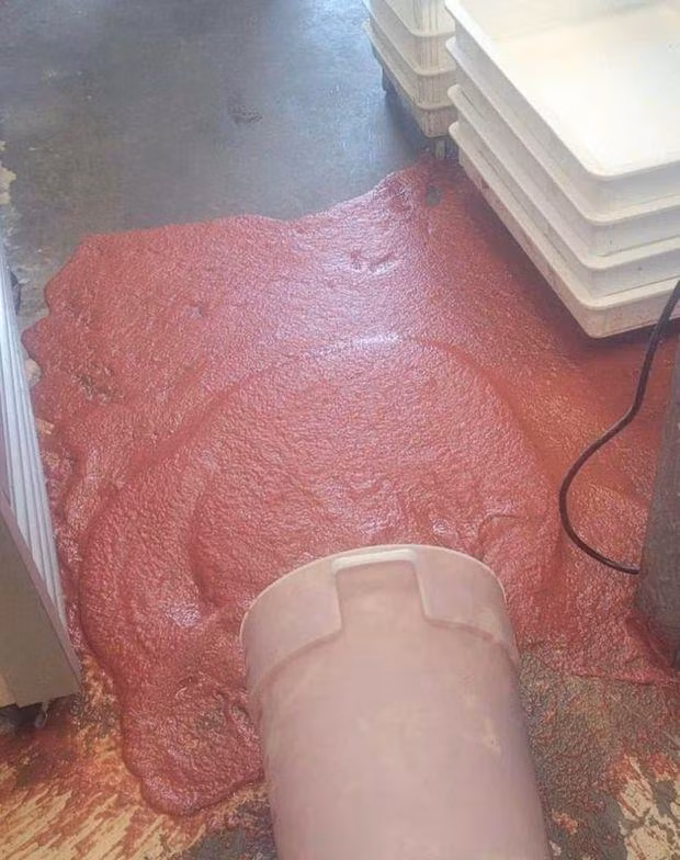 Những lúc thế này chỉ muốn chạy đi thật xa