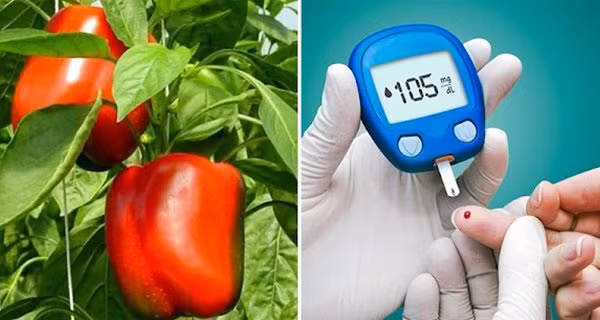 10 loai qua it duong, giup ha duong huyet cuc nhanh