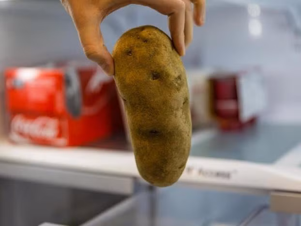  2. Khoai tây: Khoai tây chưa qua quá trình nấu chín không nên bảo quản trong tủ đông. Lý do là bởi khoai tây sống có chứa hàm lượng nước lớn, khi bảo quản trong tủ đông lượng nước này sẽ nở ra và tạo thành các tinh thể phá vỡ cấu trúc thành tế bào, làm cho khoai tây bị nhão và không sử dụng được khi rã đông. Với loại củ này tốt nhất bạn chỉ cần lưu trữ ở nơi khô ráo, thoáng mát, tránh ánh sáng mặt trời.