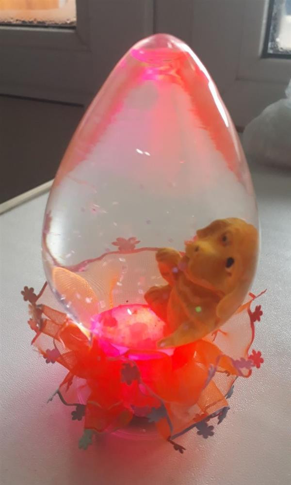 ##ss###style="text-decoration: underline;">Món quà cho những ai thích nuôi chó nhưng lại không thích dọn vệ sinh hàng ngày cho nó.