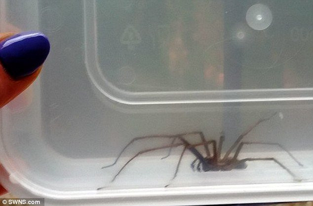 10 dau hieu bat thuong canh bao xui xeo dang tim den ban-Hinh-2