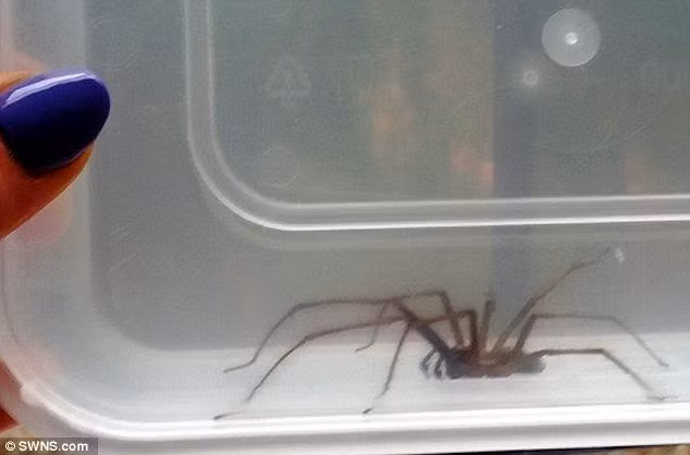 10 dau hieu bat thuong canh bao xui xeo dang tim den ban-Hinh-2