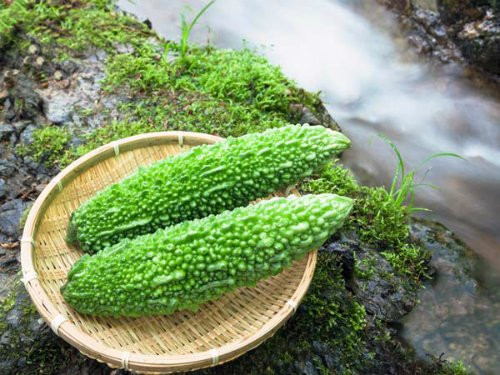 5 loại thực phẩm có vị đắng nhưng rất tốt cho sức khỏe 5 loai thuc pham co vi dang nhung rat tot cho suc khoe