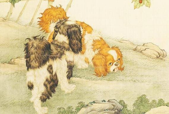 Người tuổi chó suy đoán trên cổ phiếu thì nhận được hoa vàng. Thần Tài luôn ở trong nhà của bạn, và giải thưởng đang chờ bạn trúng, bạn sẽ hạnh phúc và cười suốt đời. 