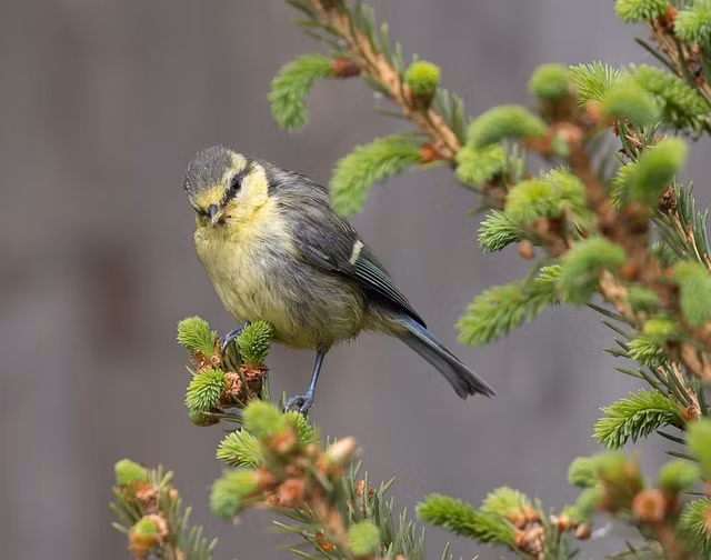 Nam 2022, 3 con giap thieu tinh thua tien, cang cuoi nam cang giau su-Hinh-3