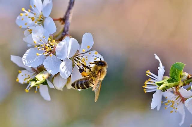 Nam 2022, 3 con giap thieu tinh thua tien, cang cuoi nam cang giau su