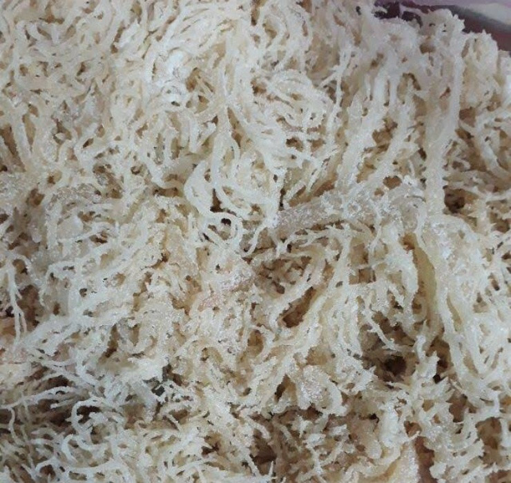 Thời gian gần đây, giá rau câu chân vịt đã tăng cao nhưng sản lượng thu hoạch chỉ bằng 1/3 so với trước.