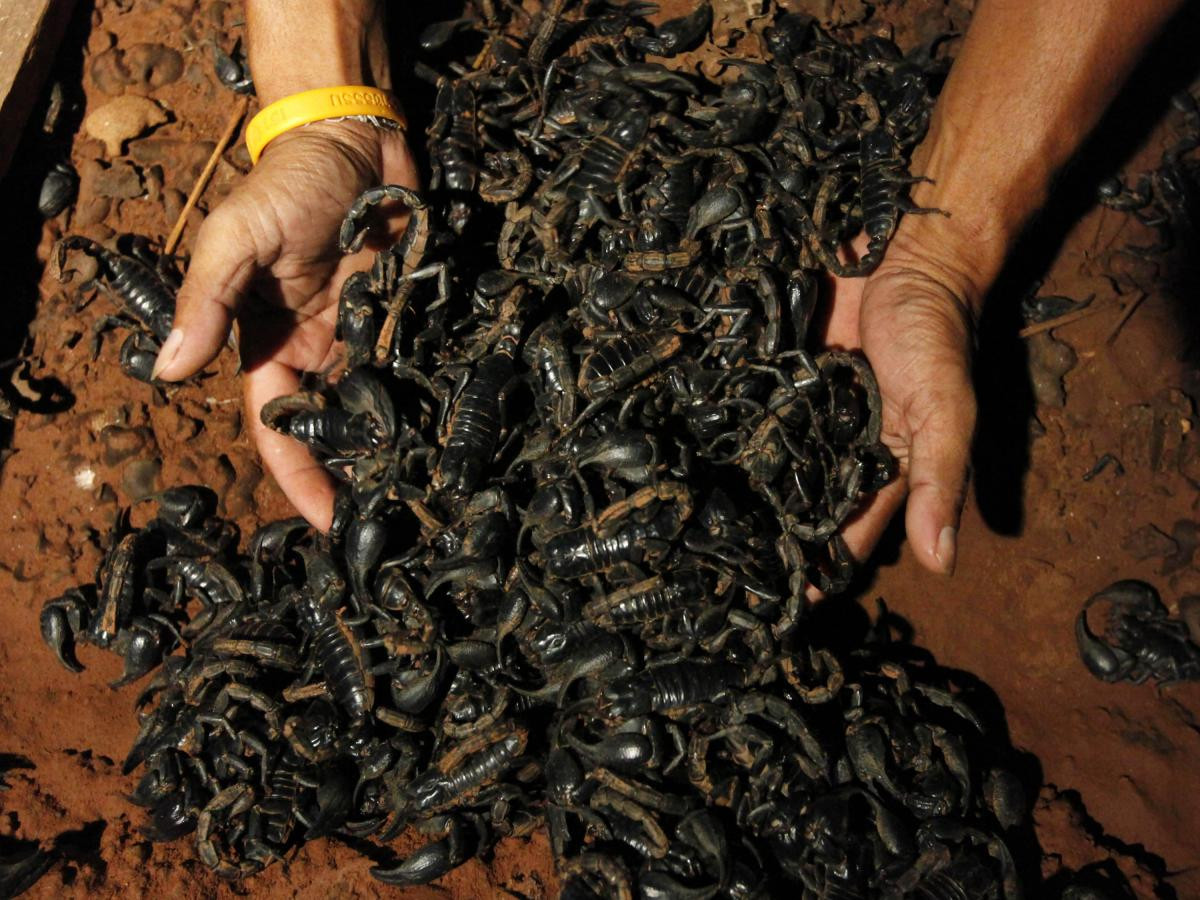 Indiana Jones da dung: Bo cap cang to lon thi cang vo hai