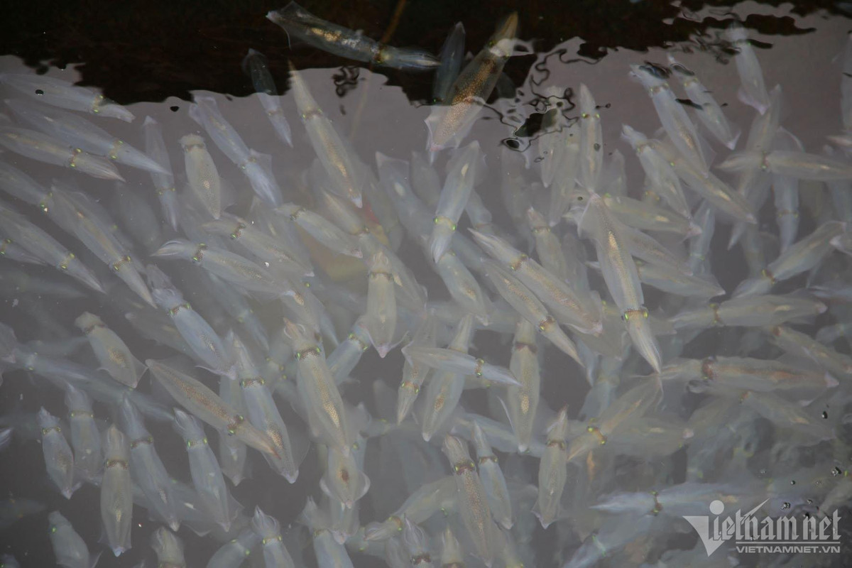 Toan than trong veo, dac san kho cuong khi ve Ha Tinh-Hinh-4