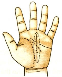 Nguoi co 3 loai chi tay nay, deu sinh ra phu quy-Hinh-8