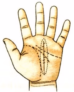 Nguoi co 3 loai chi tay nay, deu sinh ra phu quy-Hinh-8