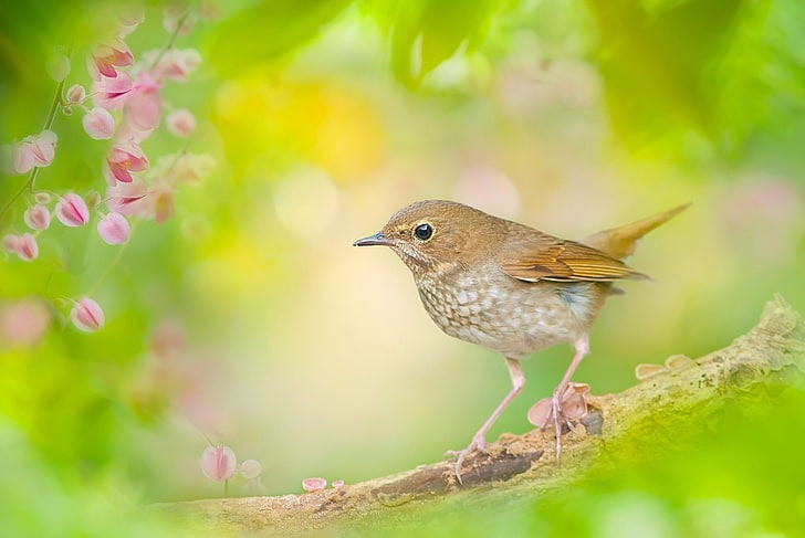 Ai sinh tháng Âm lịch này tự làm chủ cuộc đời - Hình 2 Ai sinh thang Am lich nay tu lam chu cuoc doi-Hinh-2