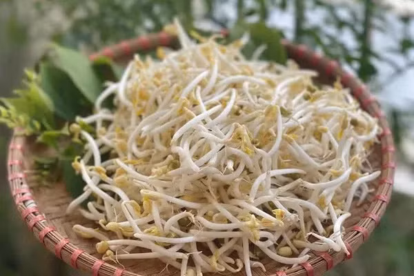 Loai thuc pham moc mam khong gay hai con giup ngua ung thu-Hinh-2