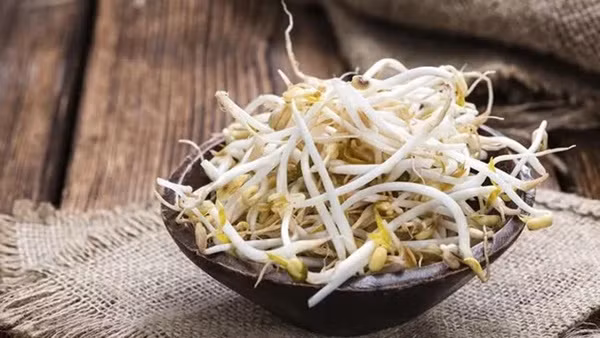 Loai thuc pham moc mam khong gay hai con giup ngua ung thu