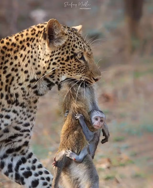 Me bi bao hoa mai giet, khi con ngo ngac om chat xac me