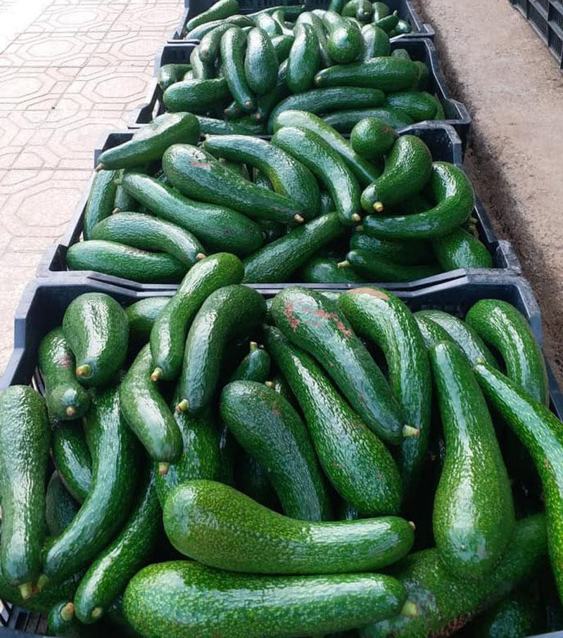 Loại quả siêu thực phẩm tràn chợ Hà Nội, giá siêu rẻ vẫn ế - Hình 2 Loai qua sieu thuc pham tran cho Ha Noi, gia sieu re van e-Hinh-2