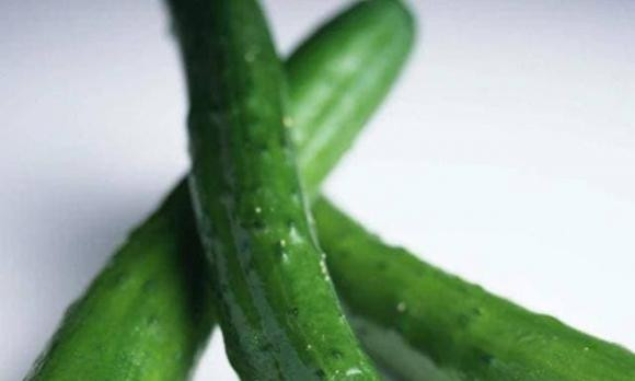 Dua chuot tuy tot nhung khong the an cung thu nay