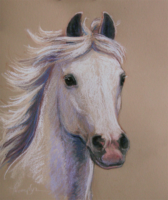 Tuổi Ngọ. Người tuổi Ngọ có một sự tự tin vào bản thân rất mãnh liệt. Con giáp này có tài, có sức, rất dũng cảm, không sợ trời không sợ đất. Sự nhiệt tình đó giúp người tuổi ngựa dễ thành công hơn, trở thành tấm gương sáng cho người bên cạnh.