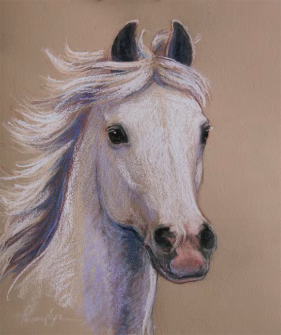 Tuổi Ngọ. Người tuổi Ngọ có một sự tự tin vào bản thân rất mãnh liệt. Con giáp này có tài, có sức, rất dũng cảm, không sợ trời không sợ đất. Sự nhiệt tình đó giúp người tuổi ngựa dễ thành công hơn, trở thành tấm gương sáng cho người bên cạnh.