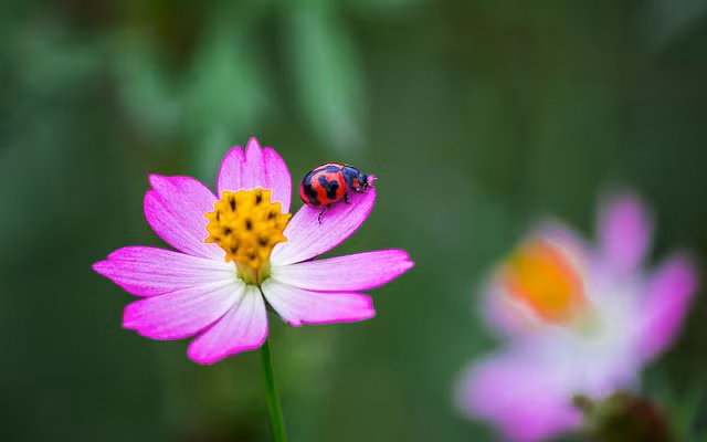 Ai sinh thang Am lich nay tham vong ngut troi, su nghiep tien trien-Hinh-3