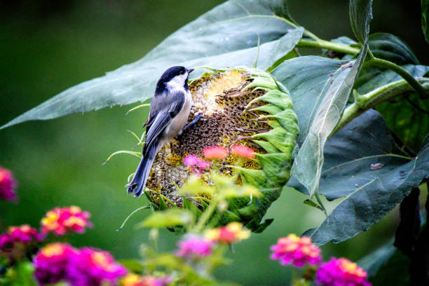 Ai sinh tháng Âm lịch này tham vọng ngút trời, sự nghiệp tiến triển - Hình 4 Ai sinh thang Am lich nay tham vong ngut troi, su nghiep tien trien-Hinh-4