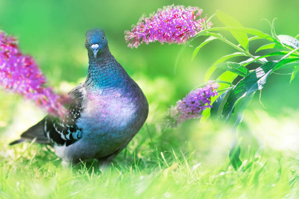 Ai sinh tháng Âm lịch này tham vọng ngút trời, sự nghiệp tiến triển - Hình 2 Ai sinh thang Am lich nay tham vong ngut troi, su nghiep tien trien-Hinh-2